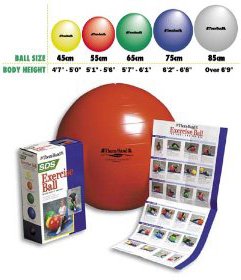 the best exercise ball is the thera band exercise ball
